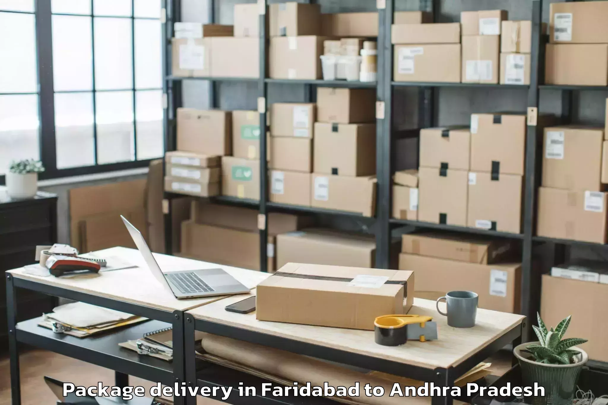 Quality Faridabad to Rayalaseema University Kurnool Package Delivery